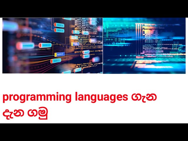 All about Programming Languages | Sinhala | Tech Learn LK