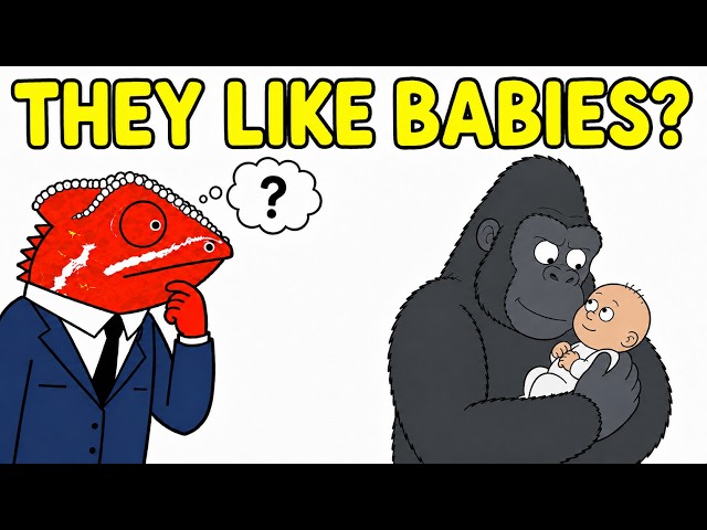 Do Animals Like Babies?