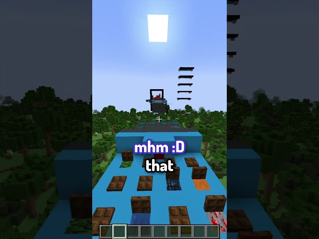 Minecraft Guess Who 3
