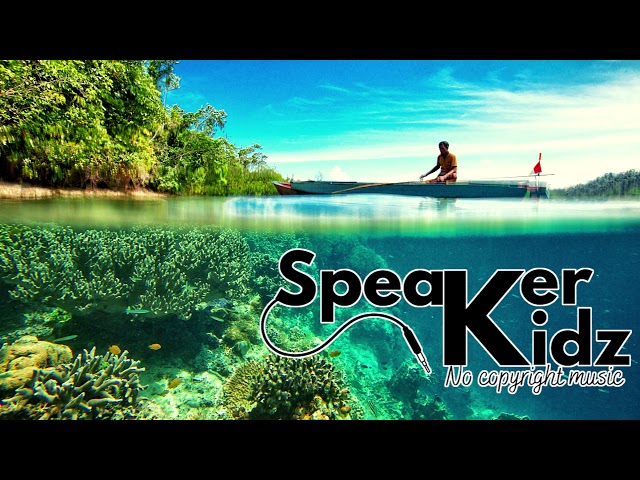 Affection by Markvard (SK No Copyright Music)