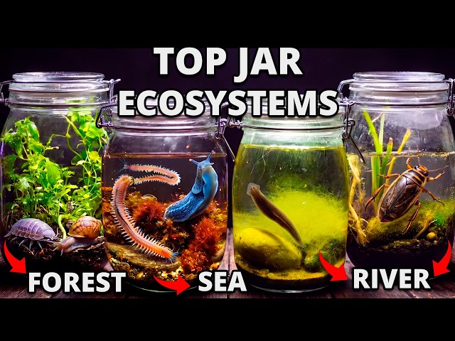 I Put Rivers, Seas and Forests in Jars, Months Later THIS Appeared!