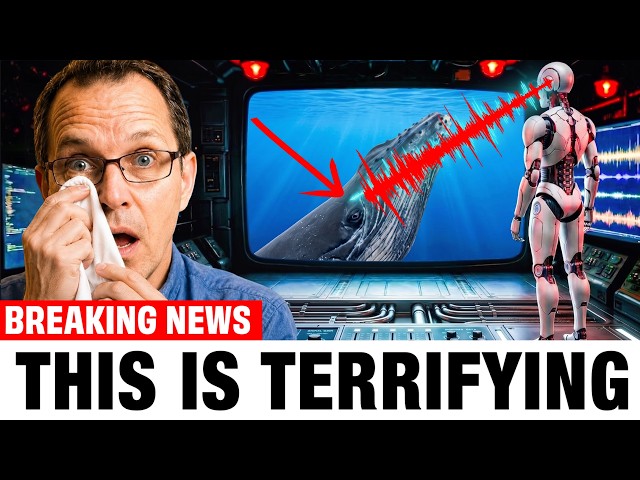 Finally AI Decoded The First Translated Whale Sentence — The Message Was Not Peaceful