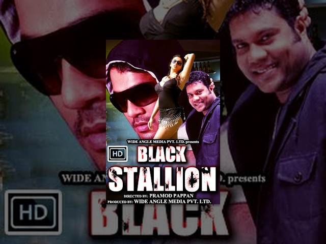 Black Stallion ll HD Full Movie ll - Watch Free