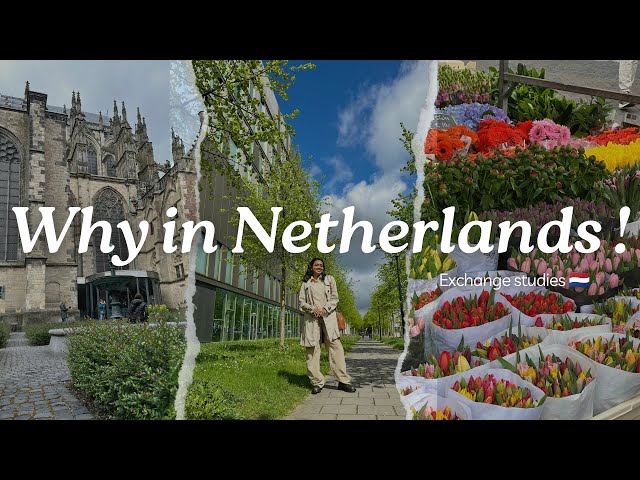 Exchange studies in Holland ￼ 🇳🇱 | Throwback university days 👩🏻‍🎓💕🌷