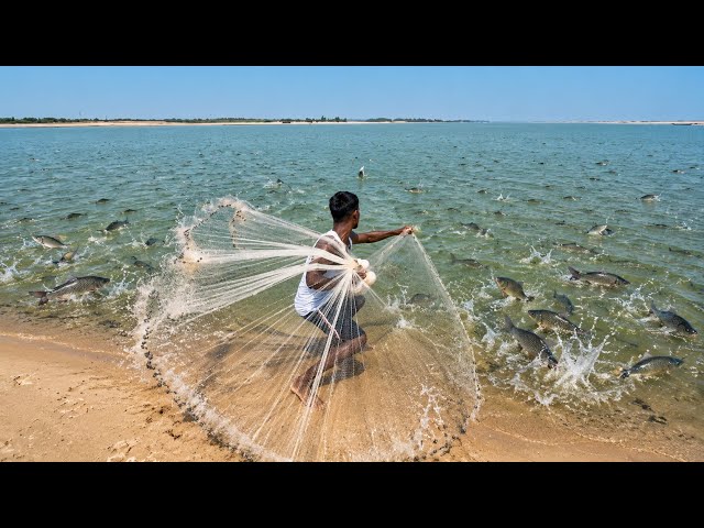 Cast Net Fishing | Village Fishermen Casting Fish With A Cast Net By Beautiful Nature