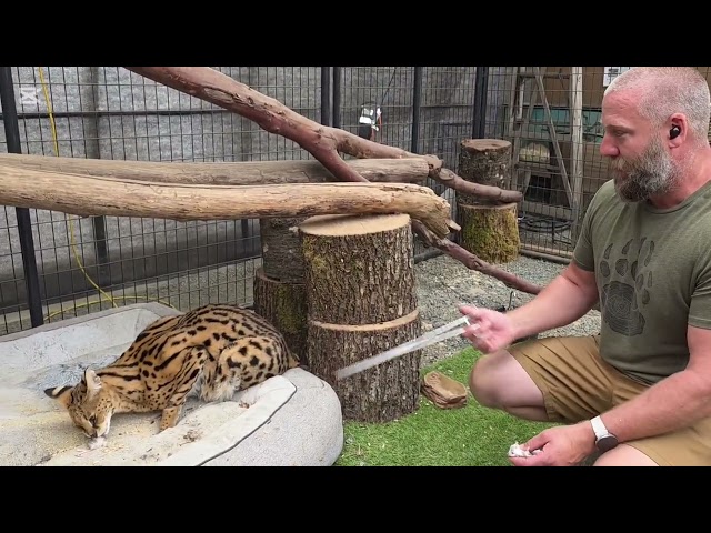 Huge improvement for Gary!!