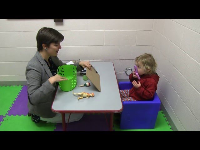 Preference Assessment with Toys: Multiple Stimulus without Replacement (MSWO)