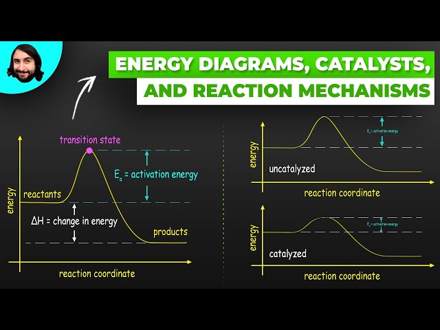 Energy Diagrams, Catalysts, and Reaction Mechanisms