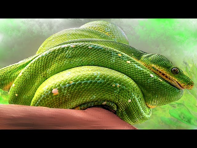 File handling with Python (basics)