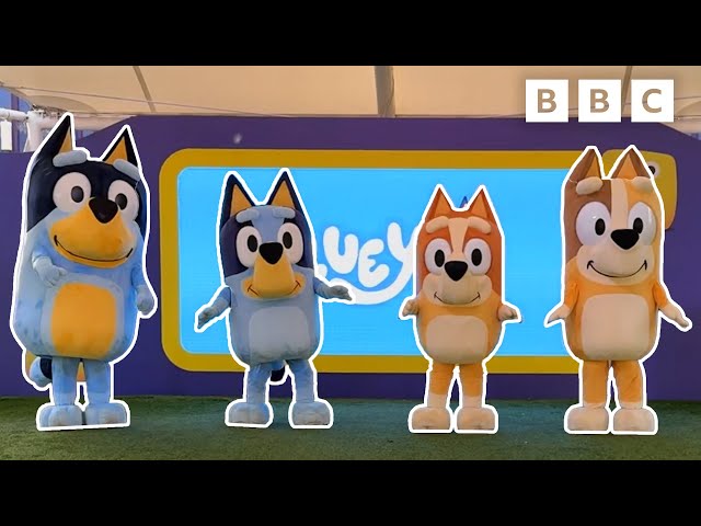 BLUEY THEME TUNE: Boogie with Bluey! | CBeebies