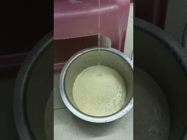 Cream separator/Fat separator machine/milk processing equipment call 9042571010