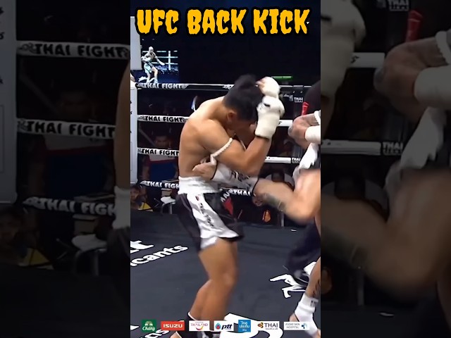 The perfect Back Kick in UFC