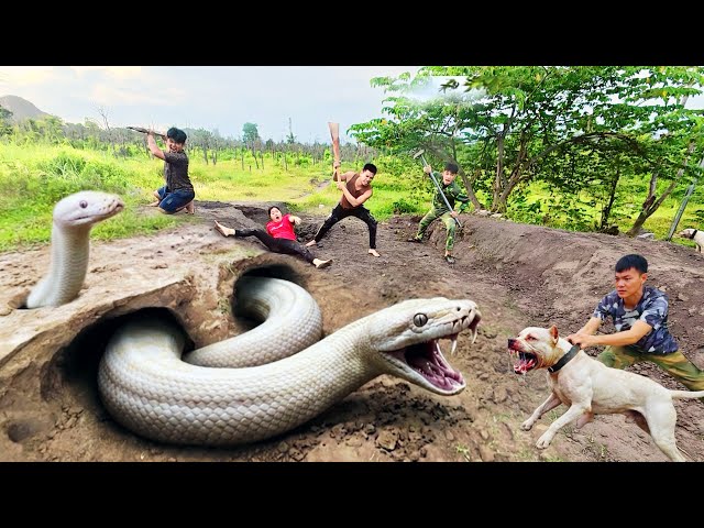 3 Brave Hunters with Pitbull Rescue Ethnic Girl from Ferocious Giant White Python