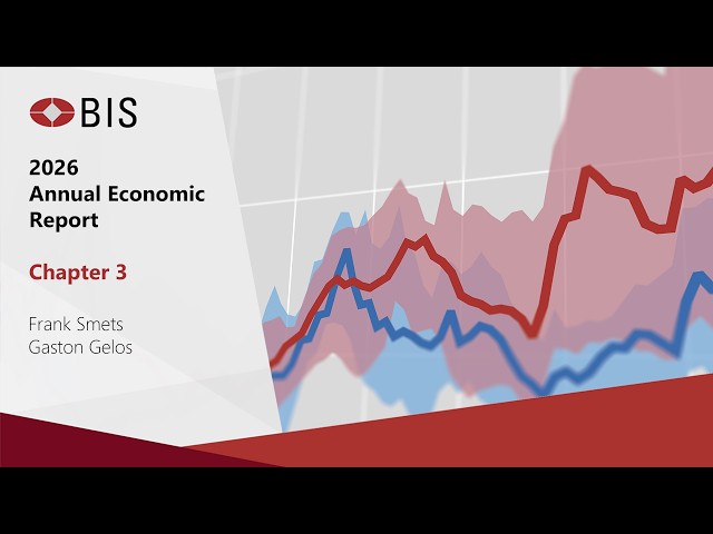 BIS Media Briefing - Anchoring trust in money: innovation beyond stablecoins