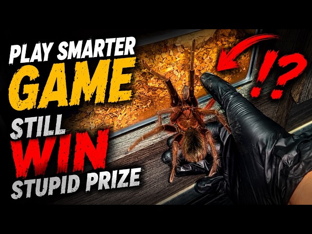 Played SMARTER games, STILL DIDN'T WIN ANY prizes!