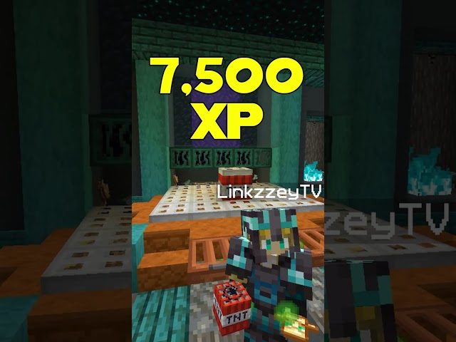 What is the BEST XP Farm In Minecraft