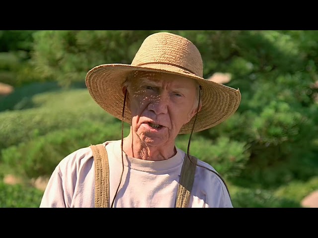 Starfleet Academy Pays Tribute To One Memorable Star Trek Guest Star