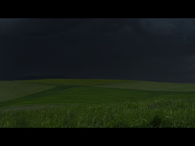 Under the Mountain Thunderstorm | Endless Meadows | Heavy Wind & Distant Thunder