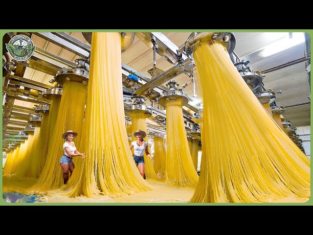 How Spaghetti Is Made  - Massive Million Tons of Pasta Processing In Factory
