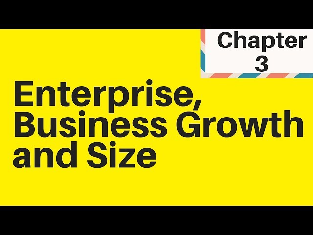 1.3 Enterprise, Business Growth and Size - IGCSE Business Studies