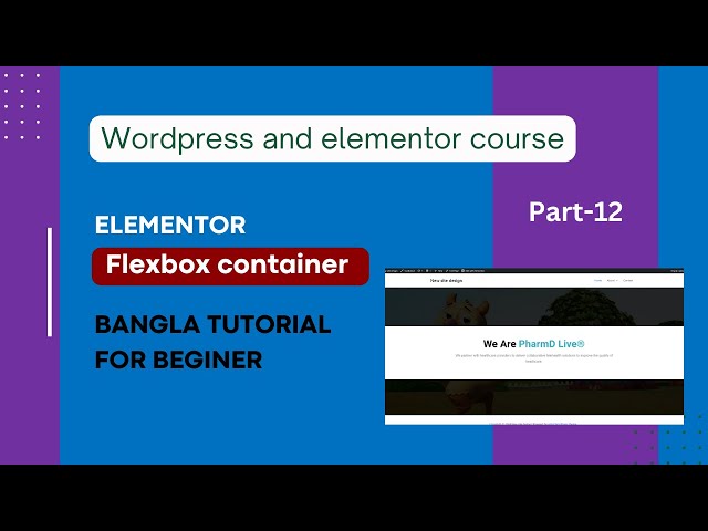 Part-12 | Elementor flexbox container bangla tutorial for beginner | Wordpress website