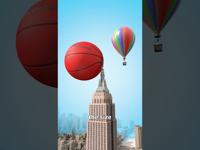 Dropping A Basketball From A Skyscraper 😮