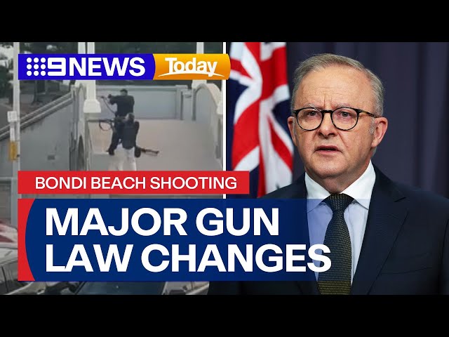 National Cabinet agrees to strengthen gun laws after Bondi Beach shooting | 9 News Australia
