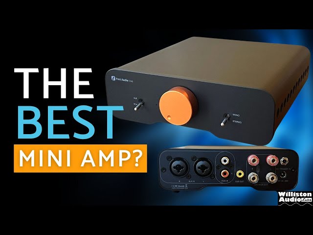 This Mini Amp Sold OUT in 24 Hours and Here's Why - Fosi Audio ZA3