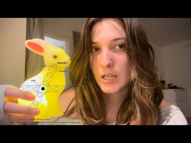 how i’m teaching my neural network a memory