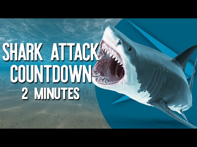 🦈 Shark Attack Countdown Timer | 2 Minutes of Fin-tastic Fun!