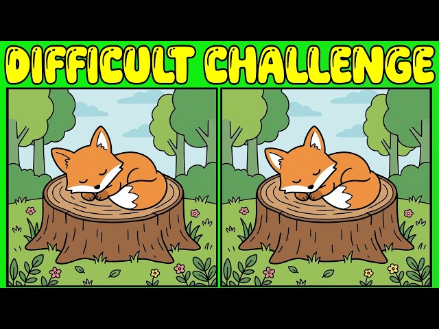 Only 1% of People Over 60 Can Find All 3 Differences in 90 Seconds!! Brain Gym 🧠