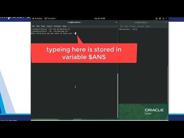 Project7-4 Bash scripting intro and git intro