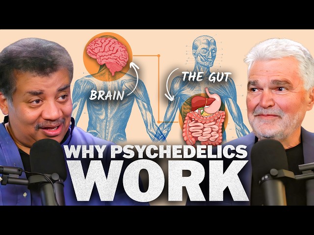 The Gut-Brain Connection, with Emeran Mayer