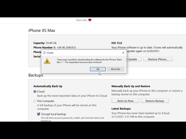 How to fix There was a problem downloading the software for the iPhone