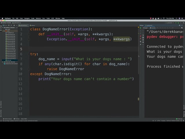 Custom Exceptions in Python by CodingXpertz