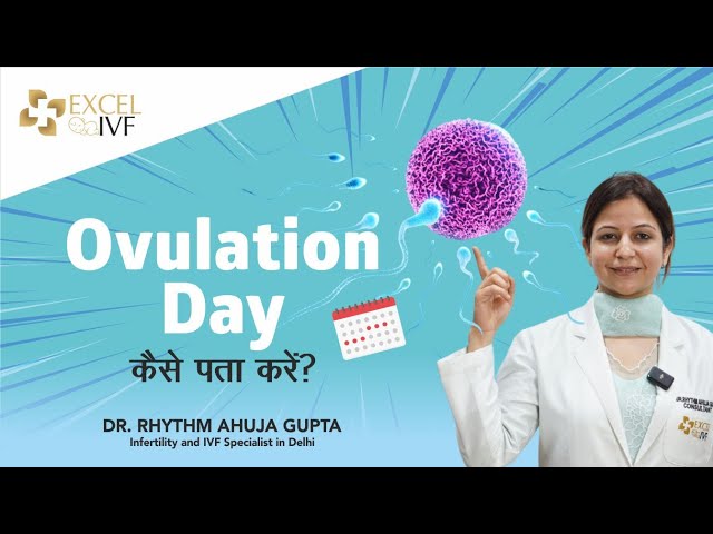 Ovulation Day कैसे पता करें | How to calculate Ovulation Day ? Dr Rhythm Gupta - IVF Specialist