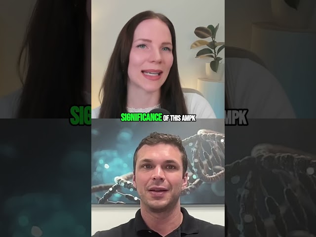 AMPK: The Longevity Master Switch & Exercise in a Pill?