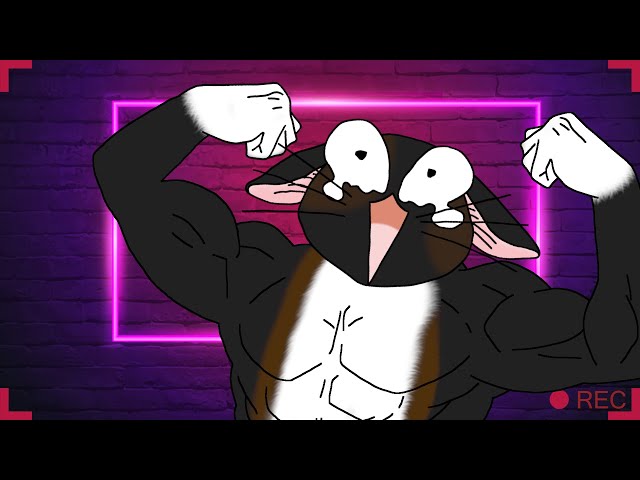 [STREAM][🇵🇱] ARC Raiders / Project Zomboid - Granko i gadanko =)