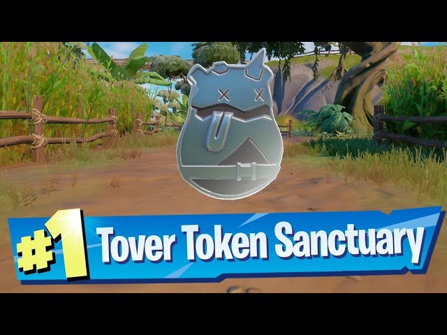 Find Tover Tokens In Sanctuary To Unlock Techq Snap Style! Snap Trover Token Locations!