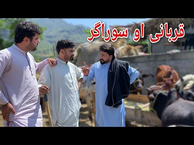 Qurbani Aw Soda Ghar Pashto Funny Video | Bpv Star | Mamoo