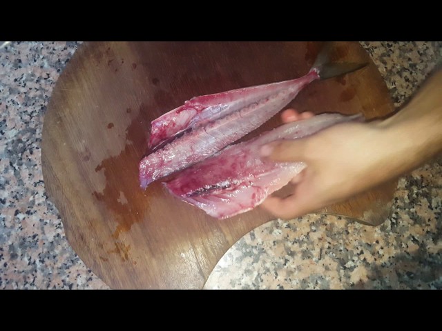 Como filetear un Jurel