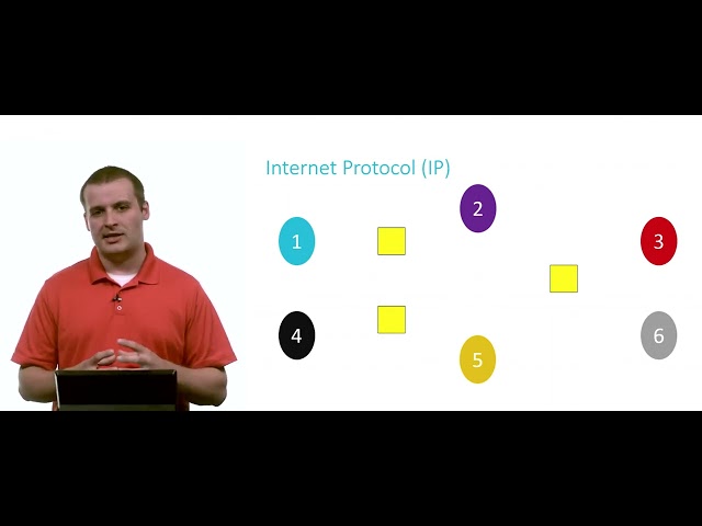 Harvard CS50 2023 | Introduction to Computer Science - IP