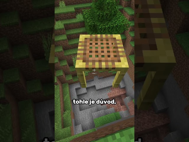 Tohle si vem, když jdeš těžit