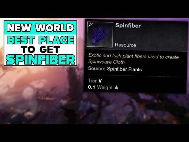 NEW WORLD BEST PLACE TO GET SPINFIBER