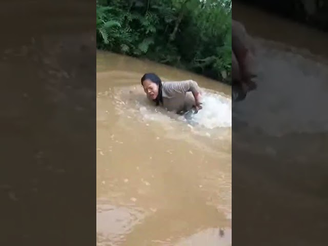dog swimming in the river—giant python instantly swallows it! so scary! #shorts