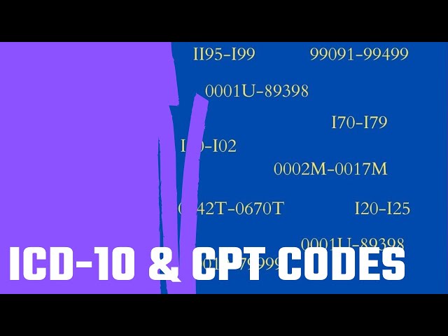 ICD 10 & CPT Codes: Basic Overview