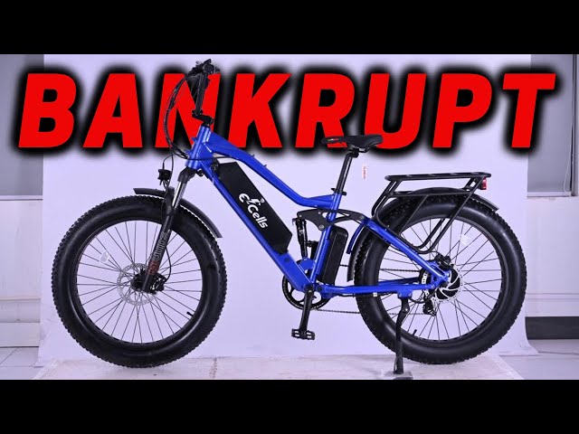 E-Cells E-Bikes Crushed by China Tariffs! // What's Next For The Customers?