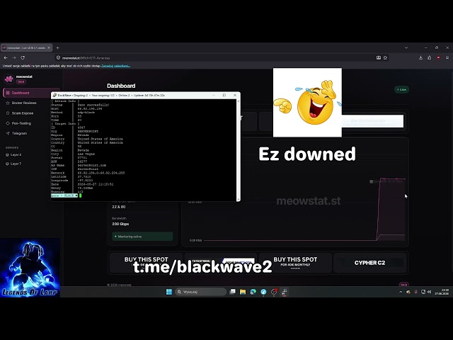 Black C2 VS Dstat 200 GBPS | DDOS BEST C2 2026