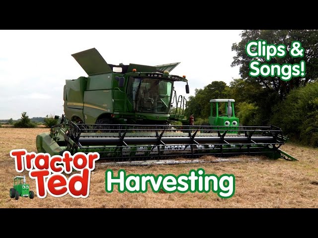 The GIGANTIC Combine Harvester & Other Harvesting Machines 🚜🌾 Tractor Ted Clips & Songs