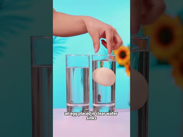 Life Hacks #shorts #lifehacks#lifetips